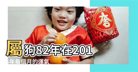 1982年屬狗 運勢|1982年属狗人2024年运程 1982年属狗人2024年运程运势